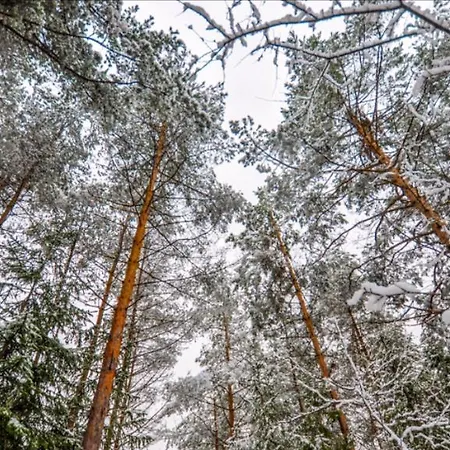 Chata Paradise * Smizany